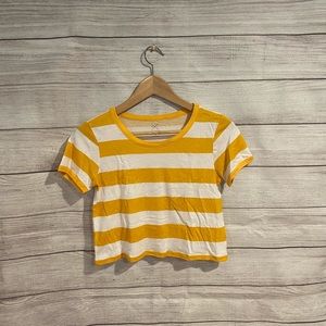 Pacsun basics cropped tee size small